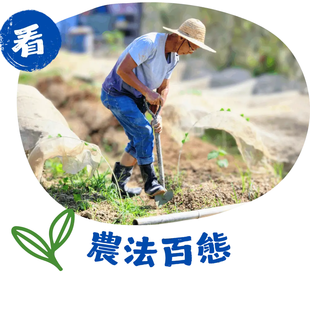  親眼見證不同農法 解開「有機」疑惑