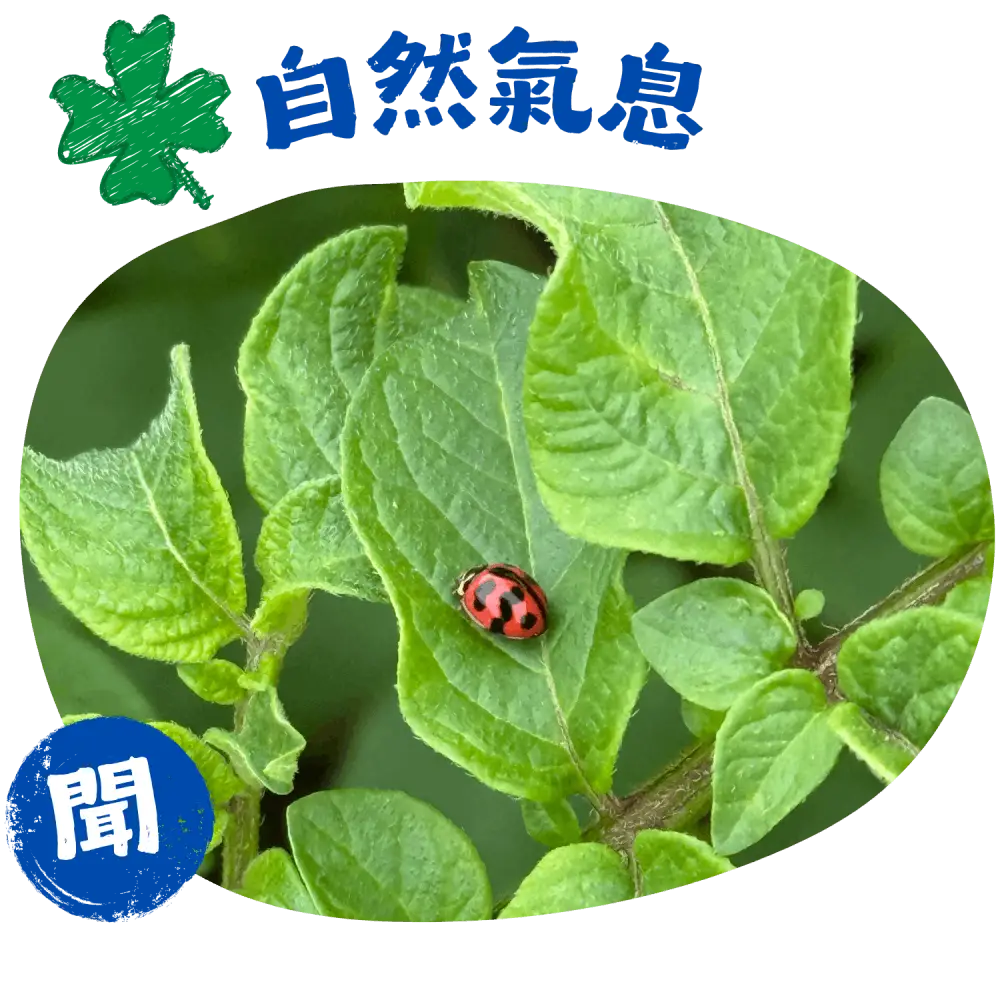 呼吸田野自然氣息 感受農田四時變化