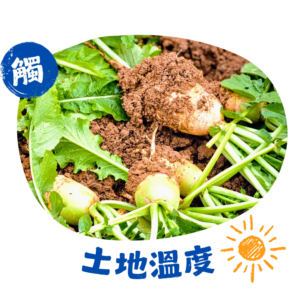 親手觸摸泥土溫度 領會收成背後心血