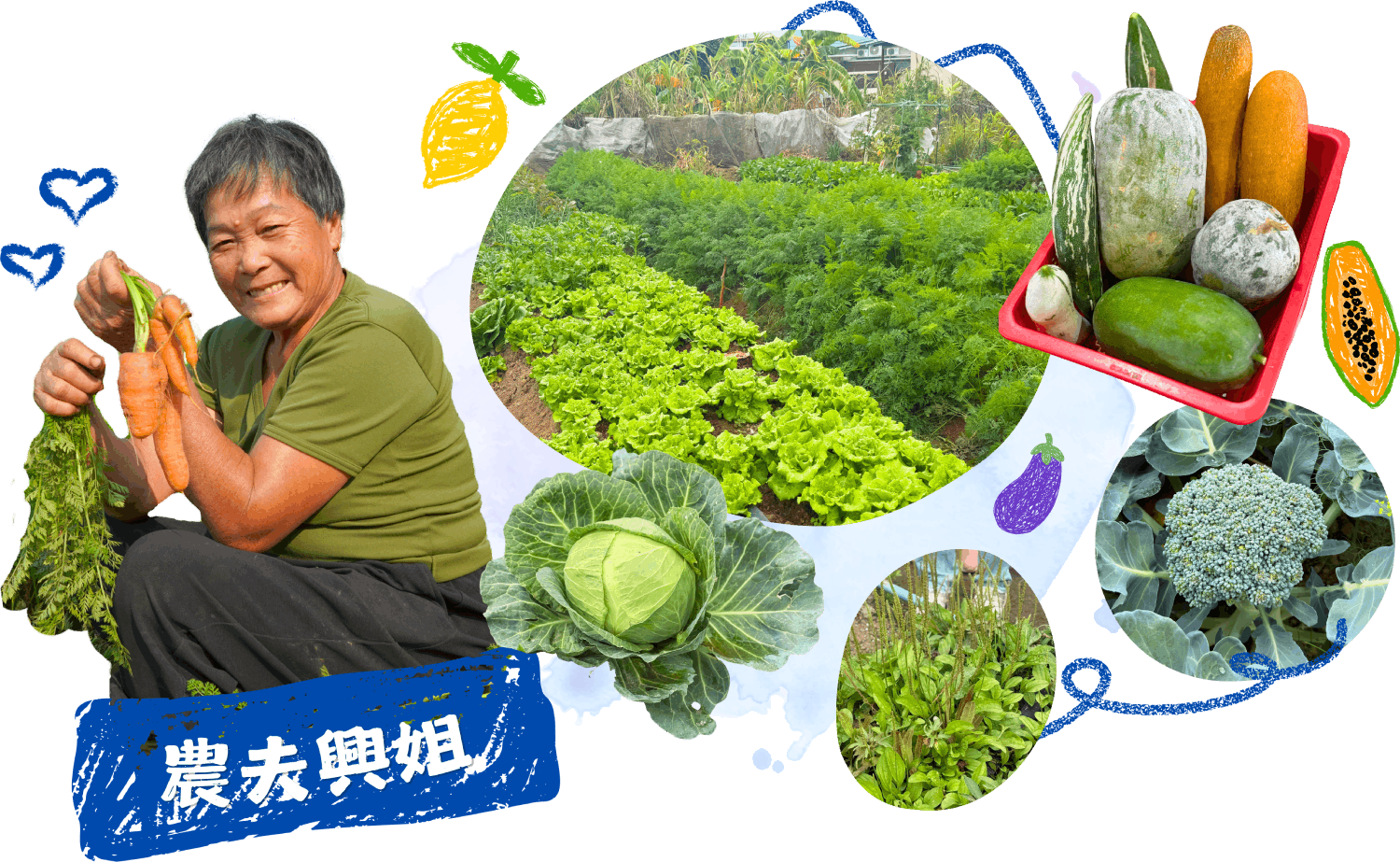 曾號農場