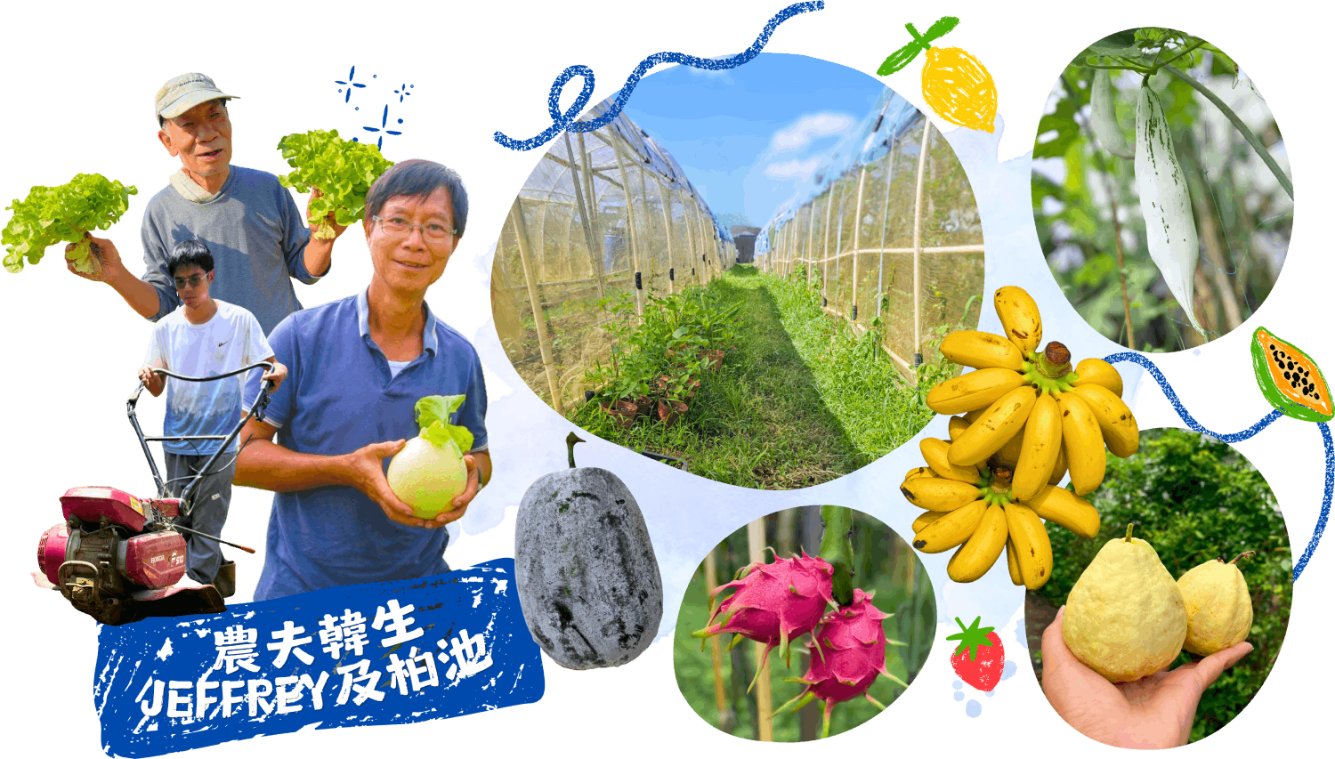 SEED河背農圃
