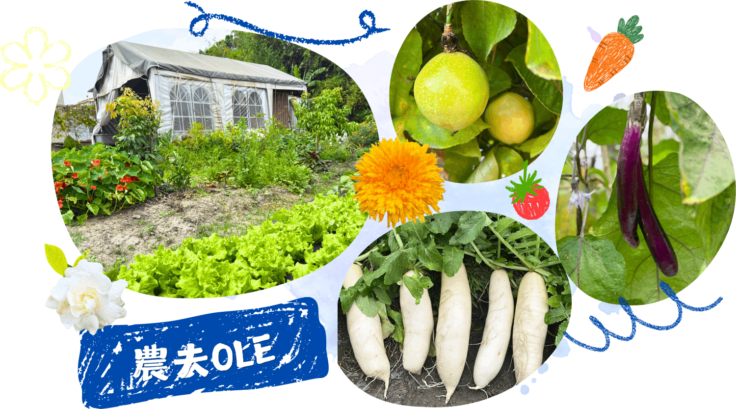 濃田